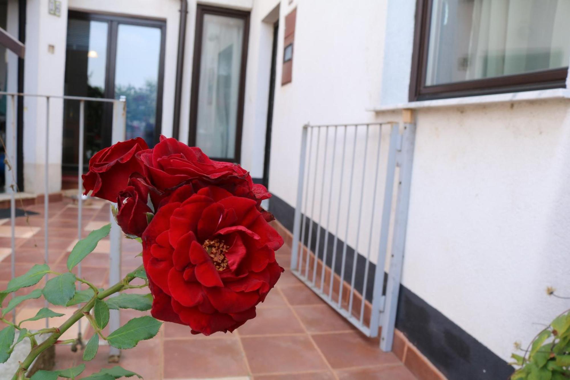 Buba Apartment Sarajewo Zewnętrze zdjęcie
